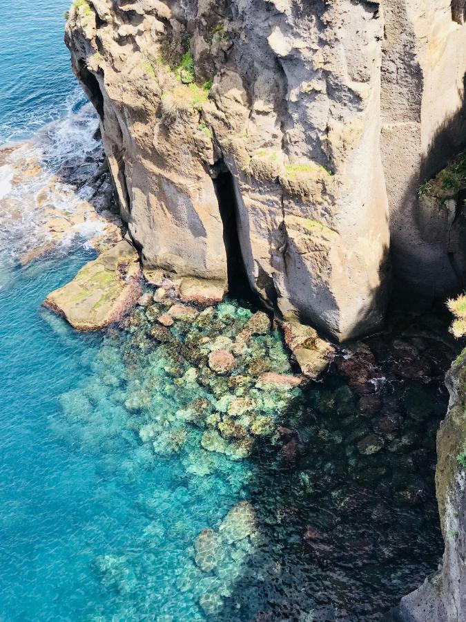 Casa Mami - Luxury Apartment And Pool - Sorrento Dış mekan fotoğraf